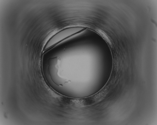 X0000091860805200709191115