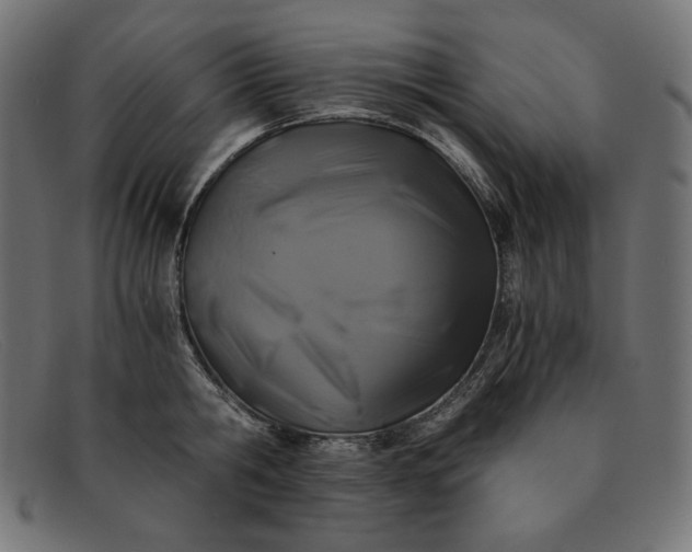 X0000091860806200709191115