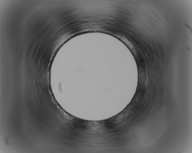 X0000091860807200709191115