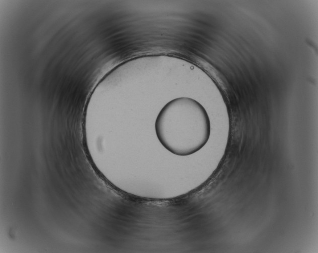 X0000091860810200709191115