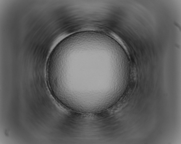 X0000091860811200709191115