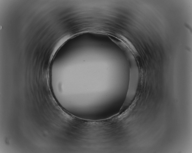 X0000091860812200709191115