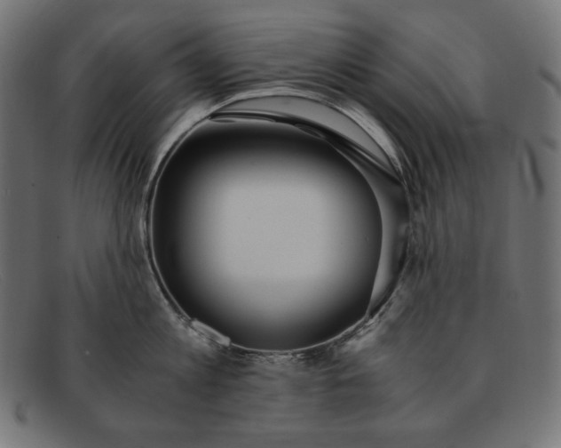 X0000091860813200709191115