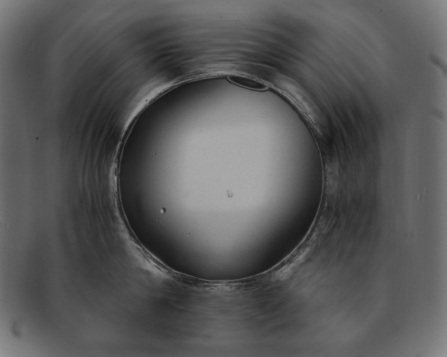 X0000091860814200709191115