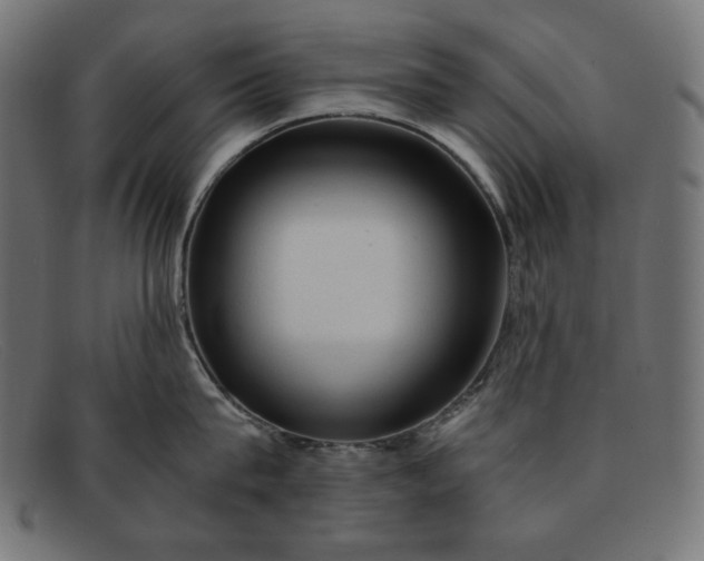 X0000091860815200709191115