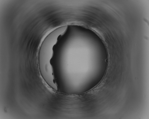 X0000091860816200709191115