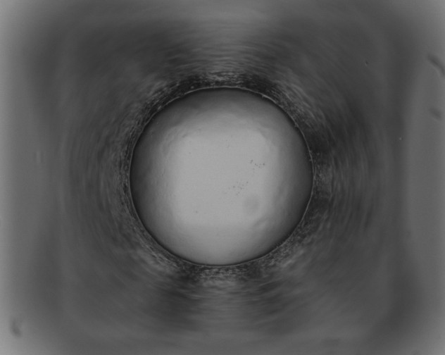 X0000091860817200709191114