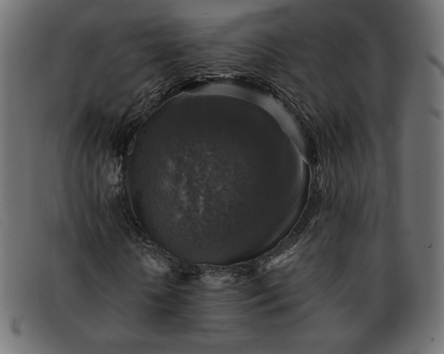 X0000091860818200709191114