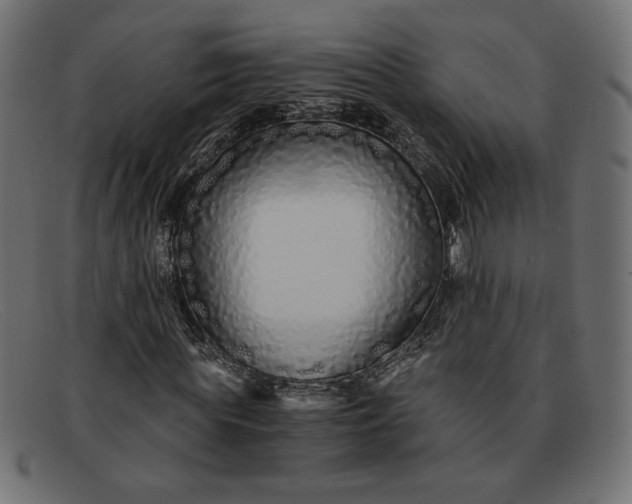 X0000091860819200709191114