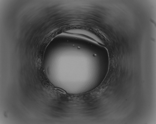 X0000091860821200709191114