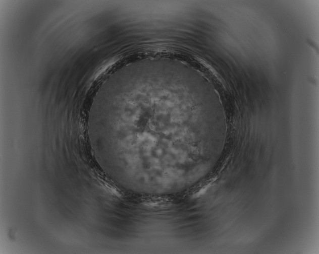 X0000091860823200709191114