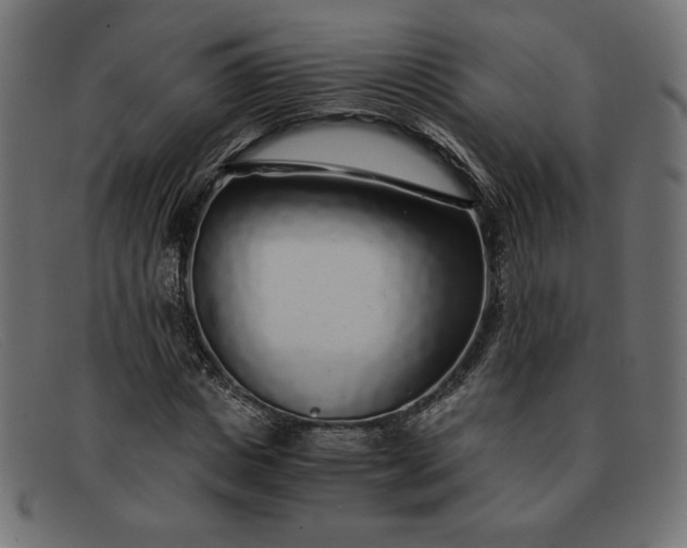 X0000091860825200709191114