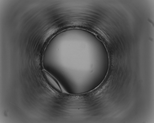 X0000091860826200709191114