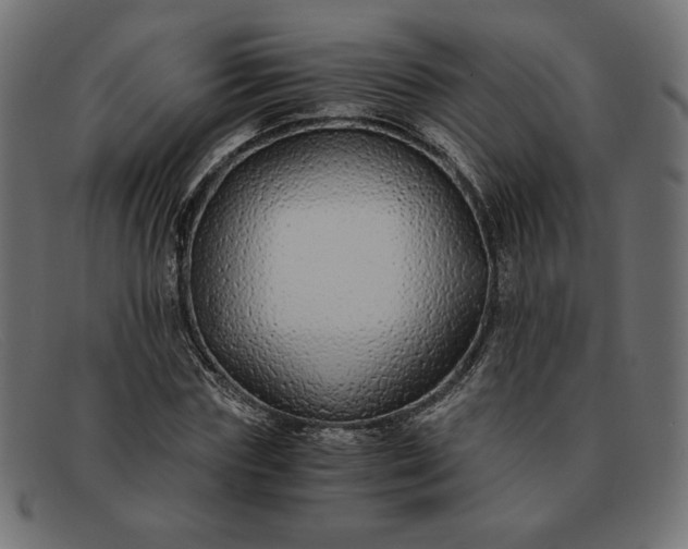 X0000091860827200709191114