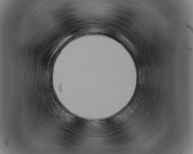 X0000091860828200709191114