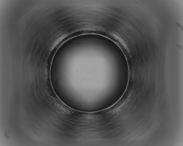 X0000091860829200709191114