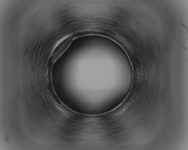 X0000091860830200709191114