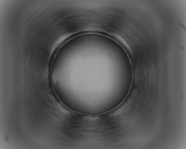 X0000091860831200709191114