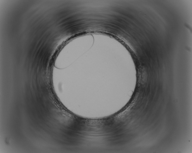 X0000091860832200709191114