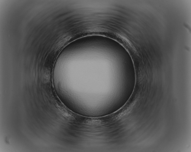 X0000091860833200709191114