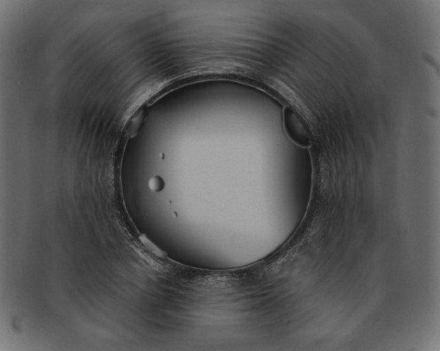 X0000091860834200709191114