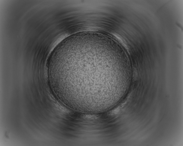 X0000091860835200709191114