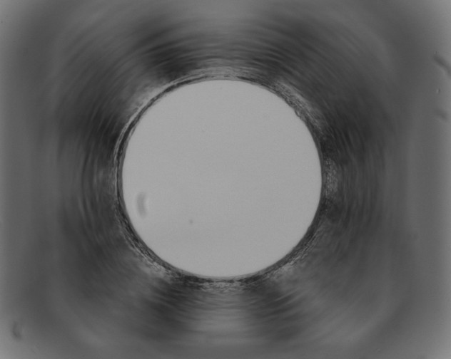 X0000091860836200709191114