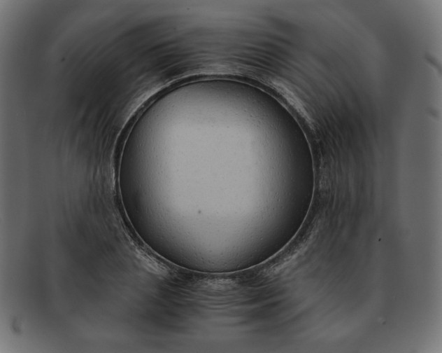 X0000091860837200709191114