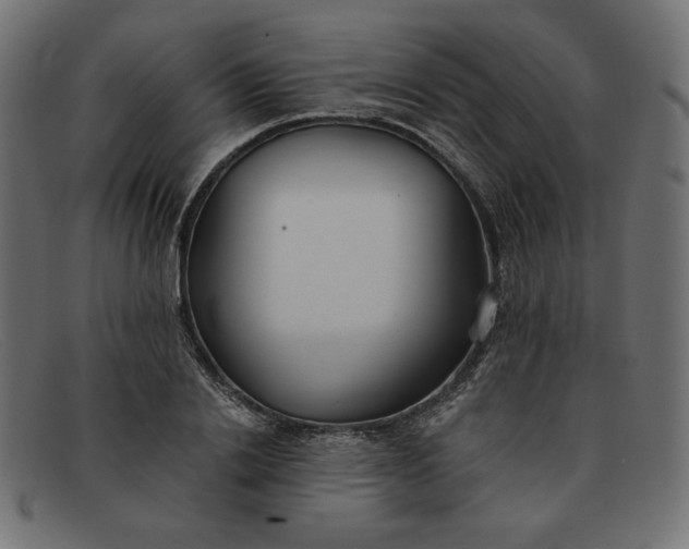 X0000091860838200709191114