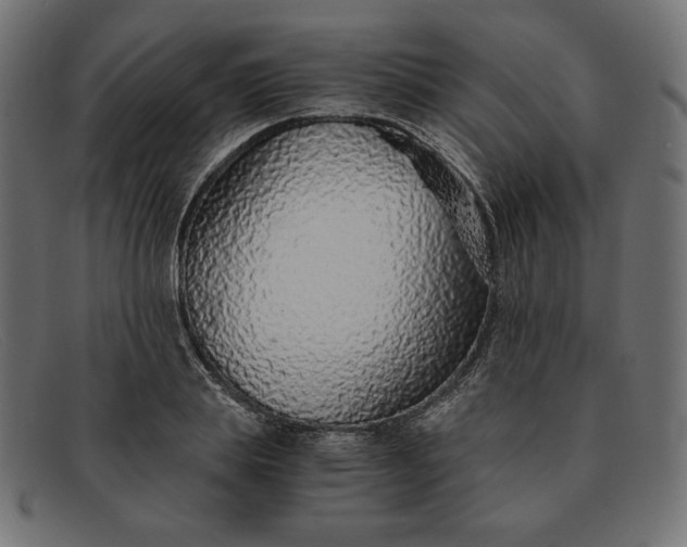 X0000091860839200709191114