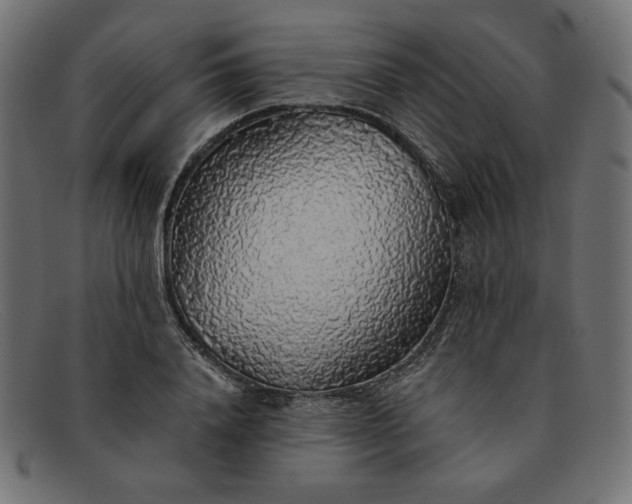 X0000091860840200709191114