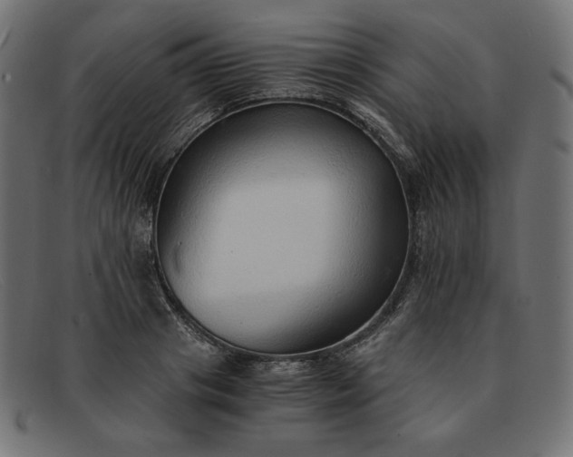 X0000091860841200709191114