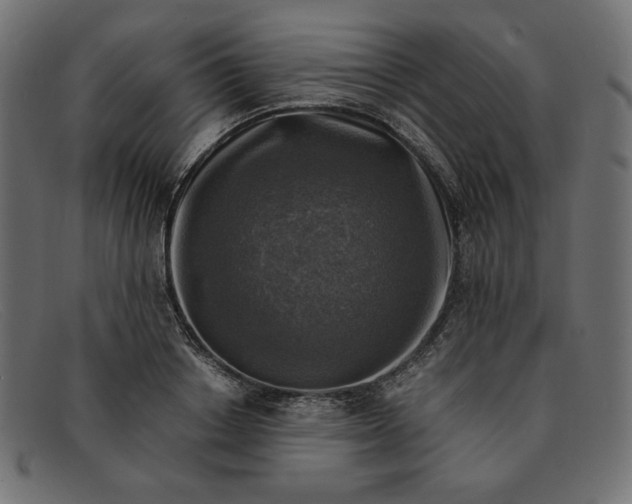 X0000091860842200709191114