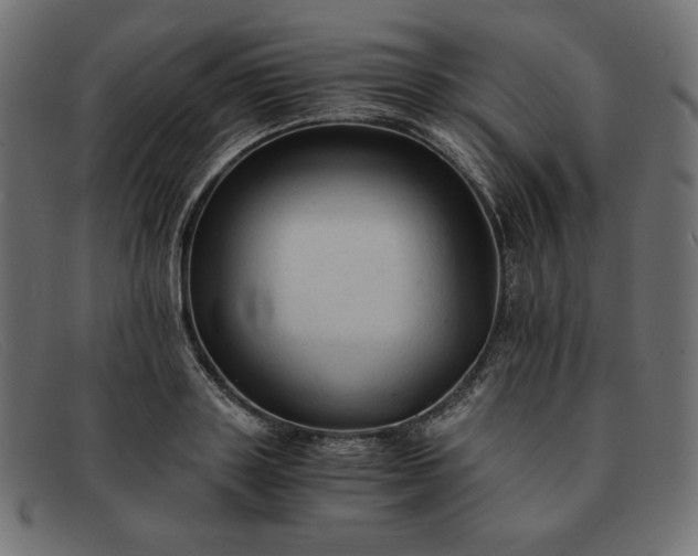 X0000091860843200709191114