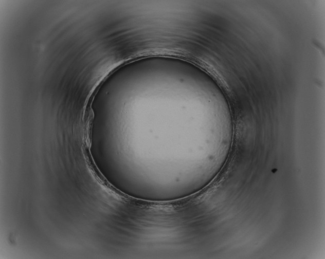 X0000091860844200709191114