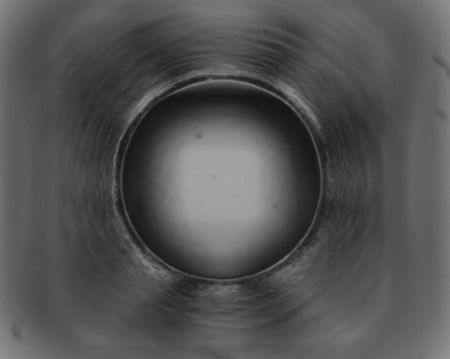 X0000091860845200709191114