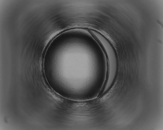 X0000091860846200709191114