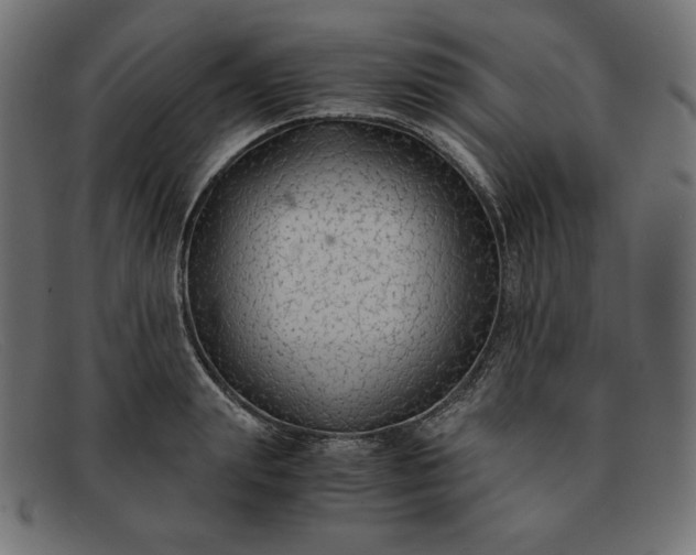 X0000091860847200709191114