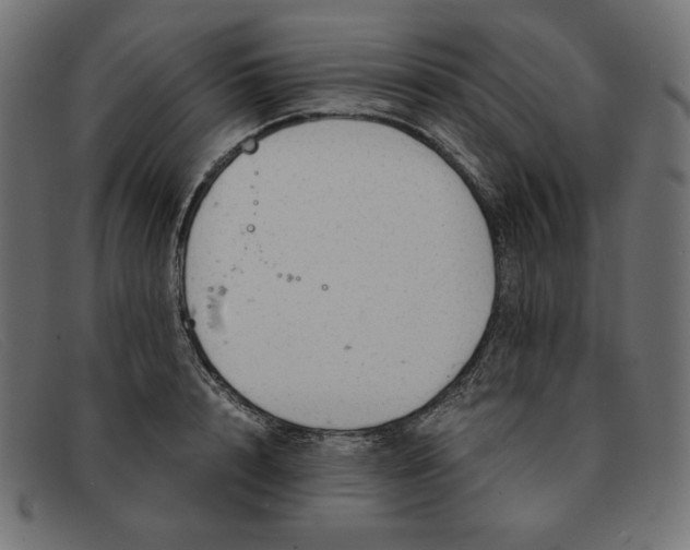 X0000091860848200709191114