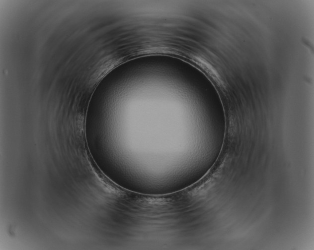 X0000091860849200709191114