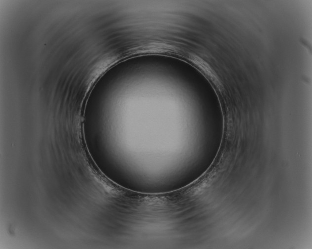 X0000091860850200709191114