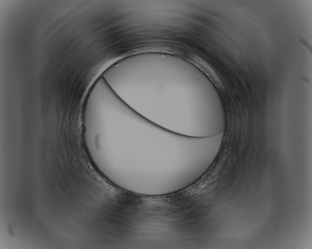 X0000091860852200709191114