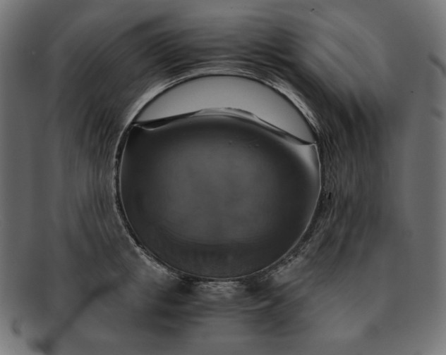 X0000091860853200709191114