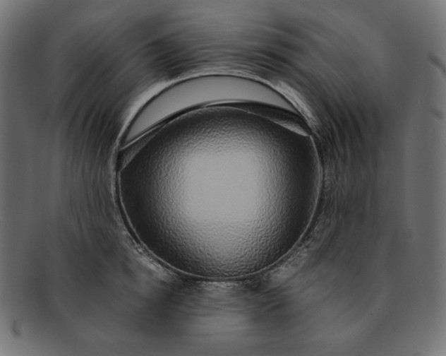 X0000091860854200709191114