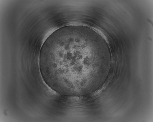 X0000091860855200709191114