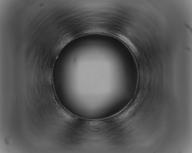 X0000091860857200709191115