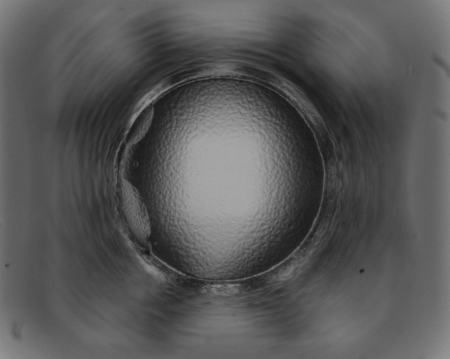 X0000091860858200709191115