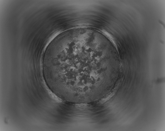 X0000091860859200709191115