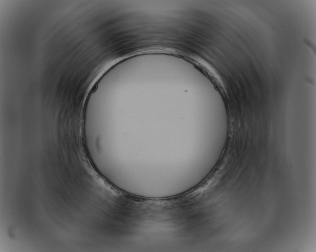 X0000091860860200709191115