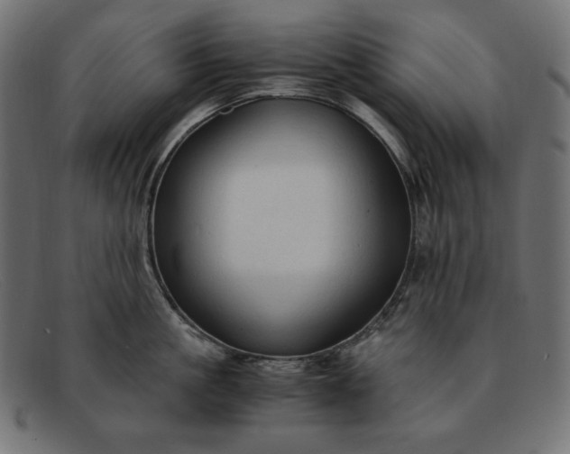 X0000091860861200709191115